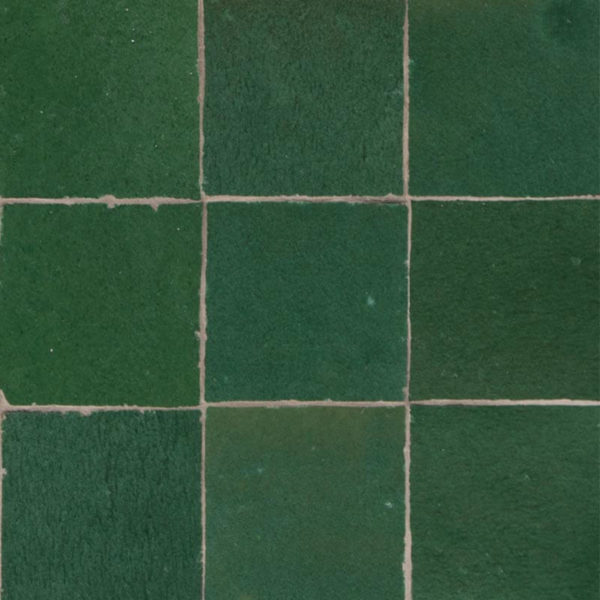 Z10 Vert